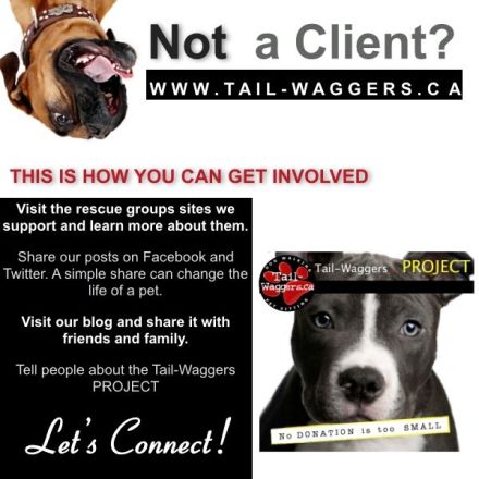 How you can get involved in the Tail-Waggers PROJECT. 