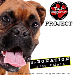 Tail-Waggers project makes monthly donations on behalf of our clients to shelters and charity events using the money from dog walking services. 